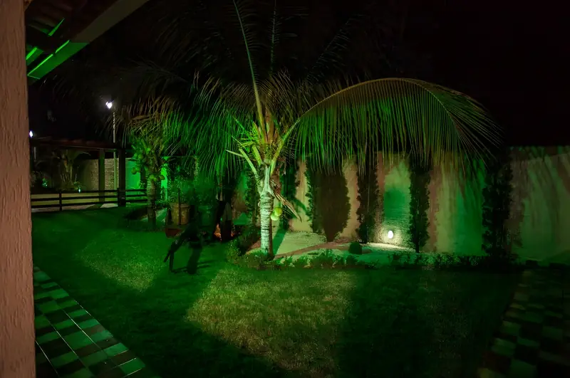Coqueiro iluminado em verde no jardim, à noite