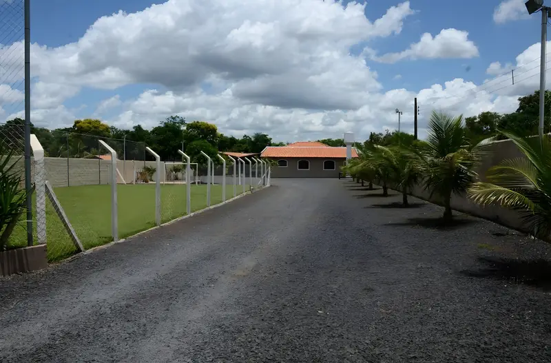 Alameda de entrada com palmeiras e, à esquerda, o campo de futebol gramado cercado por alambrado
