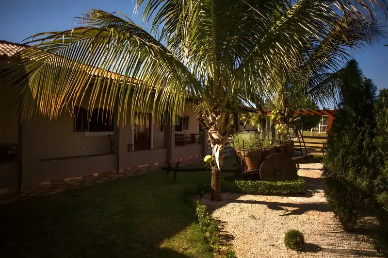 Jardim com coqueiro, caminho de pedriscos e roda de carroça decorativa ao lado da casa