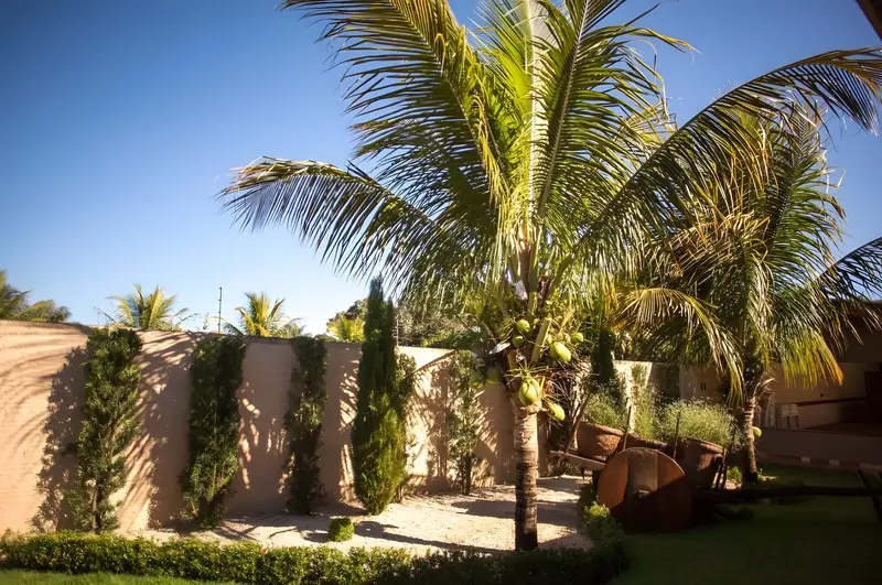 Jardim lateral com coqueiro, ciprestes junto ao muro e roda de carroça decorativa